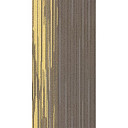 Ковровая плитка Balance Momentum Balance Momentum 12A  | FLOORDEALER